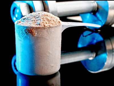 best protein powder for weight gain
