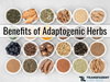 best adaptogens benefits