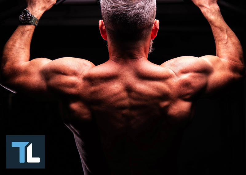 back and biceps workout