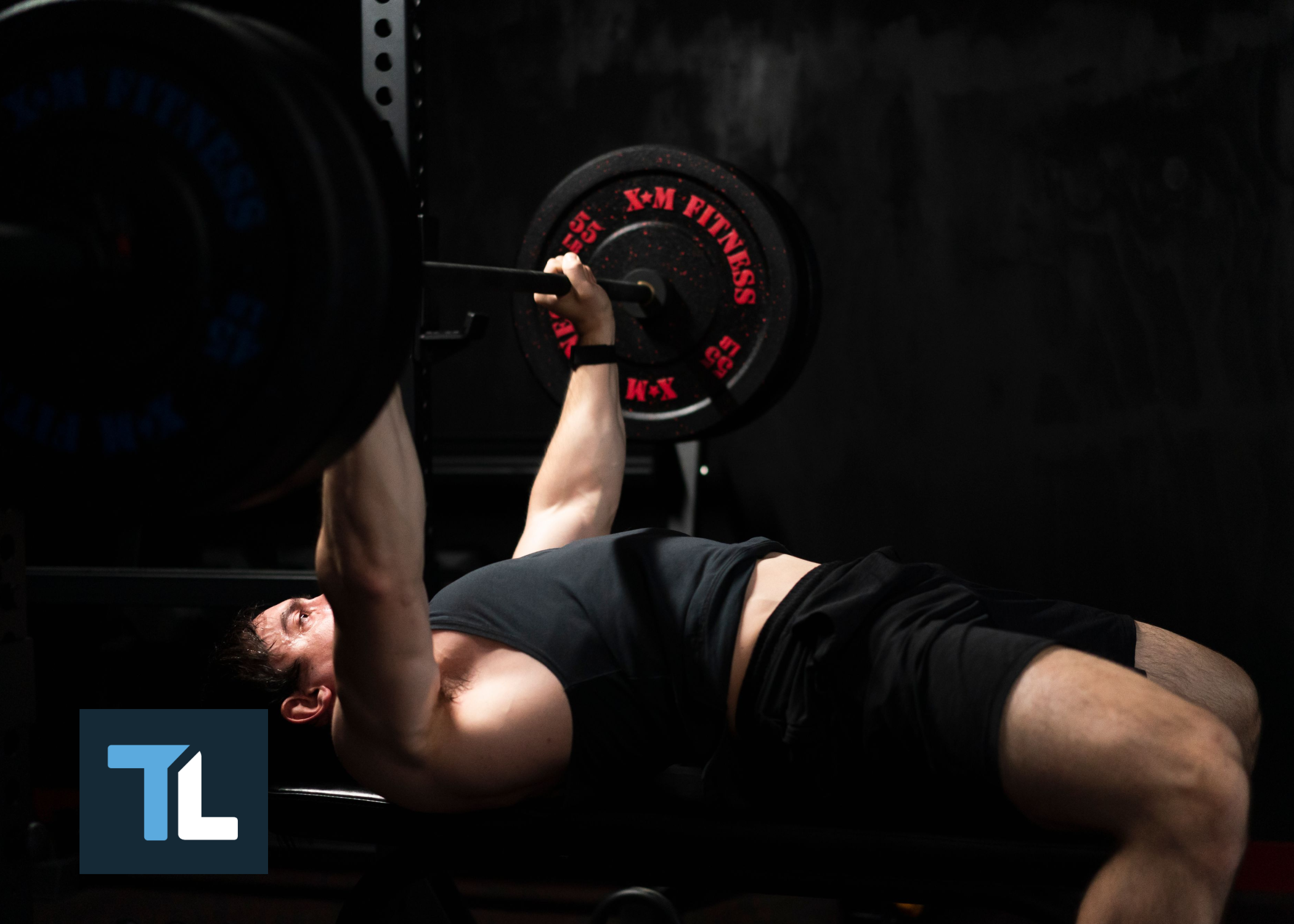 What Muscle Does Bench Press Work?: Diagram, Guide and Exercise