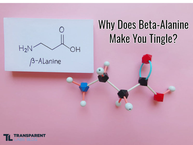 Why does beta-alanine make you tingle
