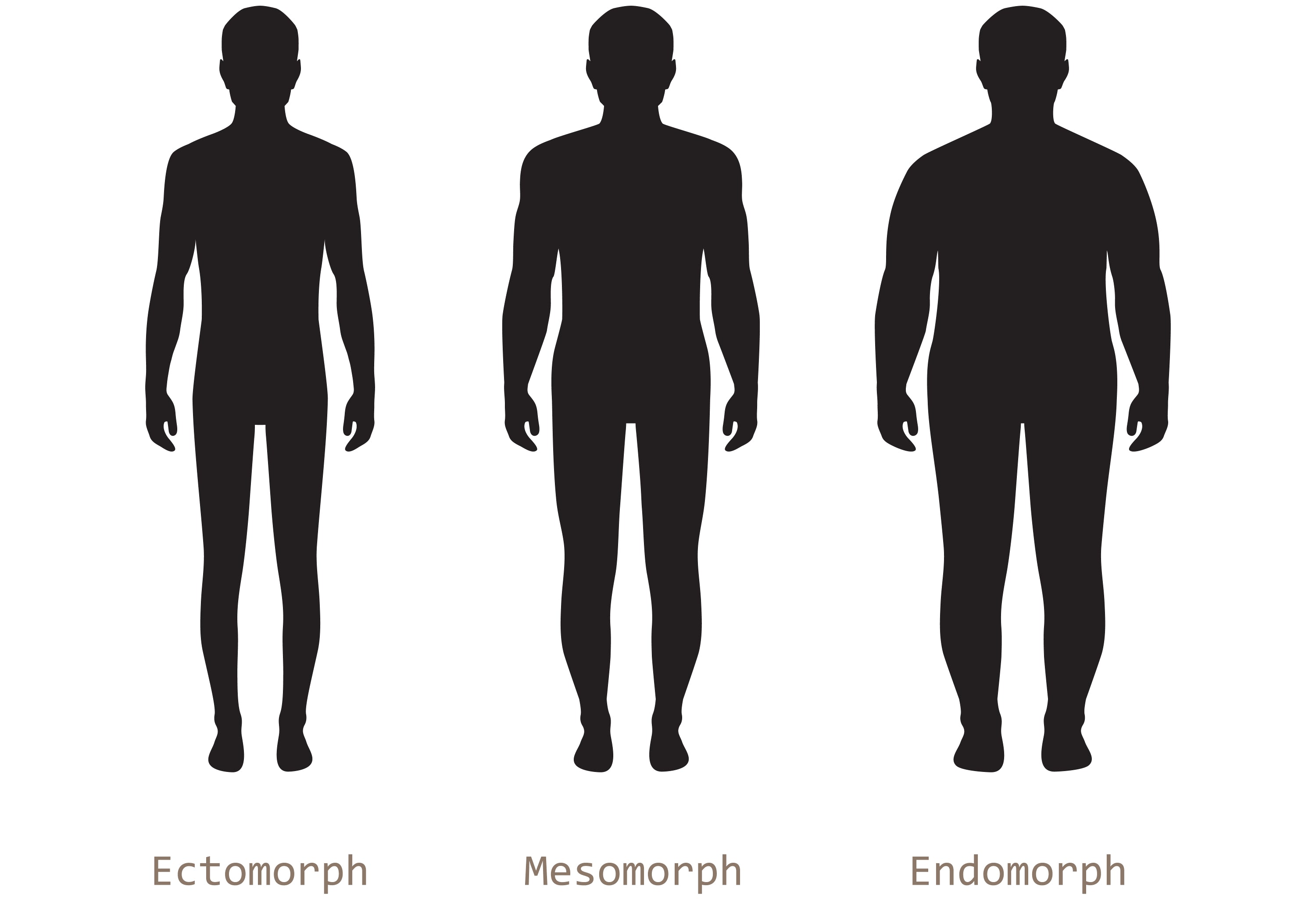 What Are the Three Body Types? Diet & Exercise for Your Somatotype