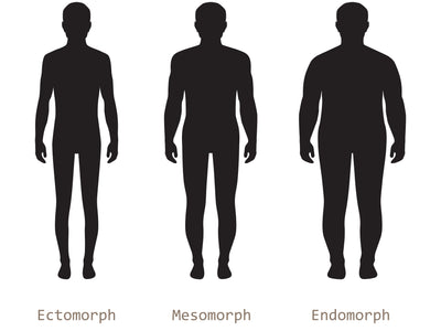 What Are the Three Body Types? Diet & Exercise for Your Somatotype