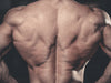 Best Back Workouts for Mass: Back Exercise Hacks to Grow Your Lats