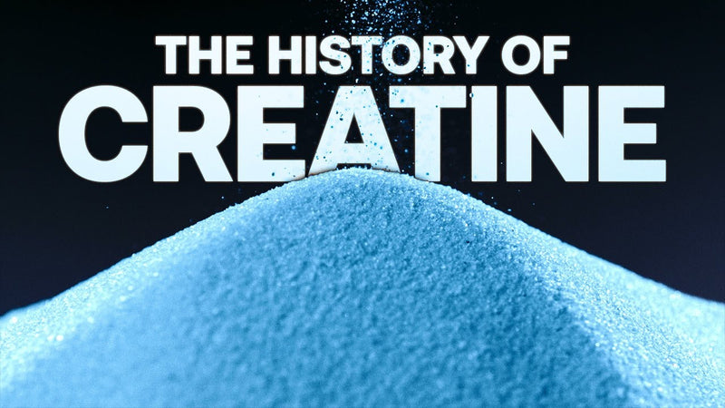 Creatine's Role in Human Evolution & Ancient Civilizations