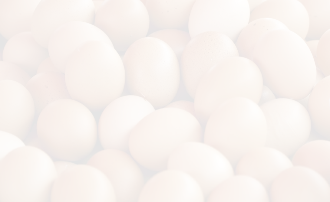 Protein Ingredients Image 1