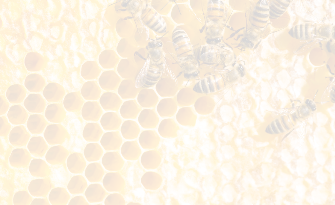 Protein Ingredients Image 1