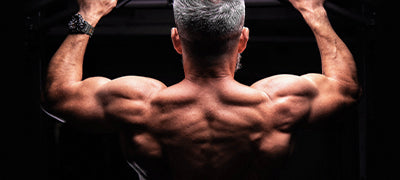 Build Muscle Mass