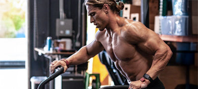 Support Body Composition