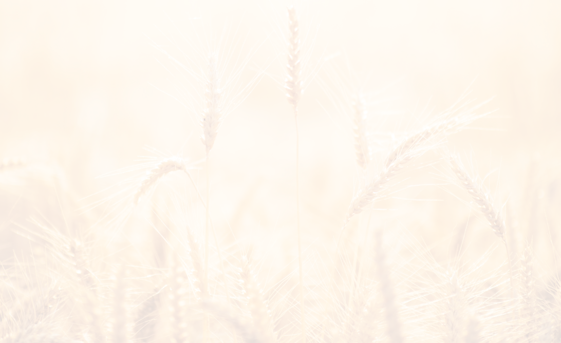 Protein Ingredients Image 1
