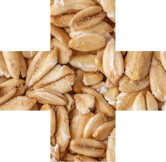 Protein Ingredients Image 2