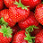 Variant Strawberry