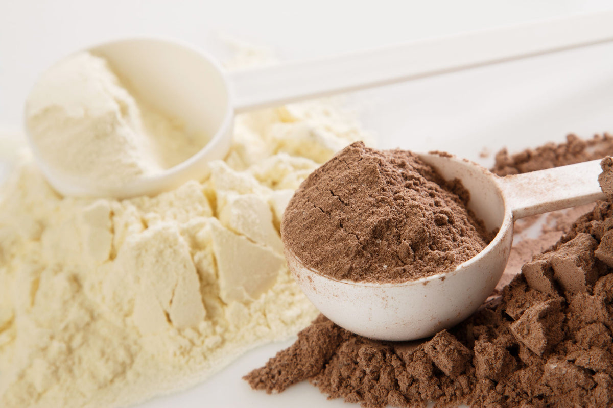 whey protein vs collagen protein