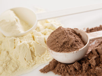 whey protein vs collagen protein