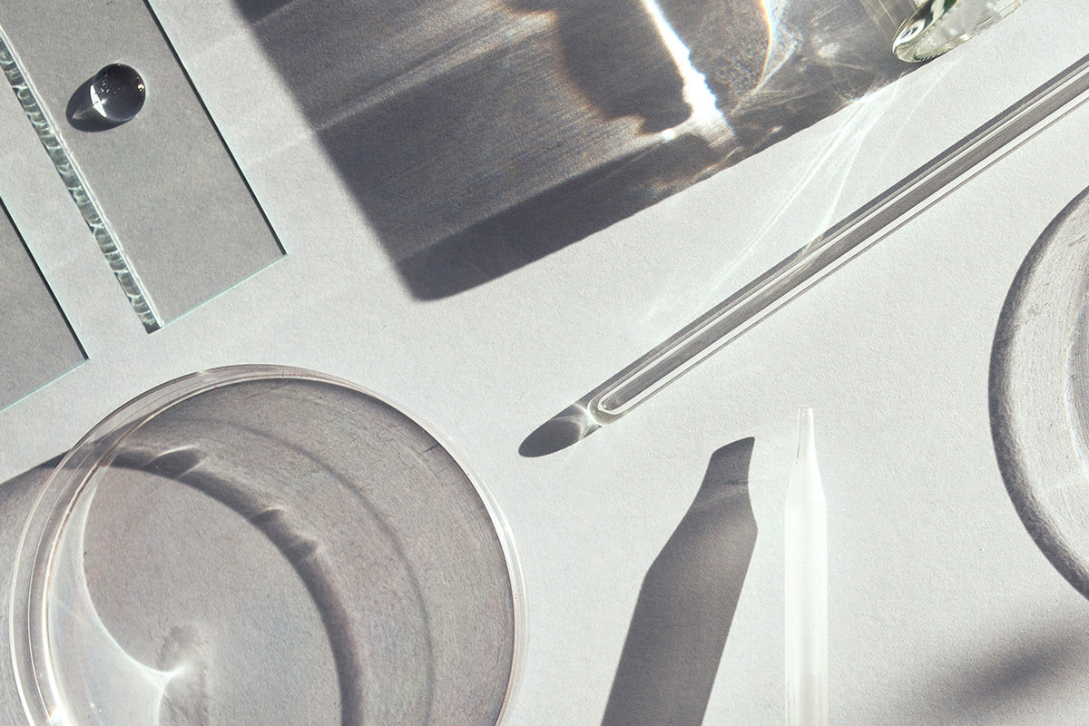 Clean, Defined | How Transparent Labs Sets the Standard