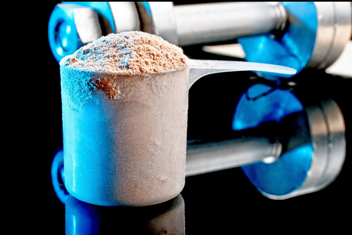 best protein powder for weight gain