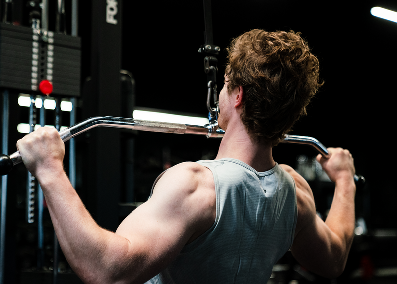 Muscle Memory: How Fast Can You Rebuild Lost Gains?