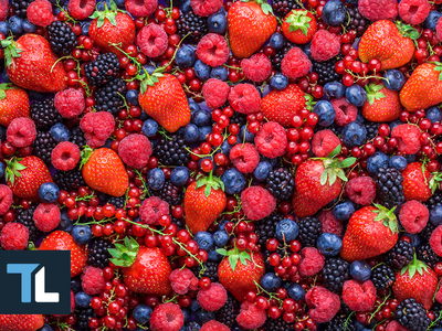 Top 8 Anti Aging Foods for Longevity (Expert Review)