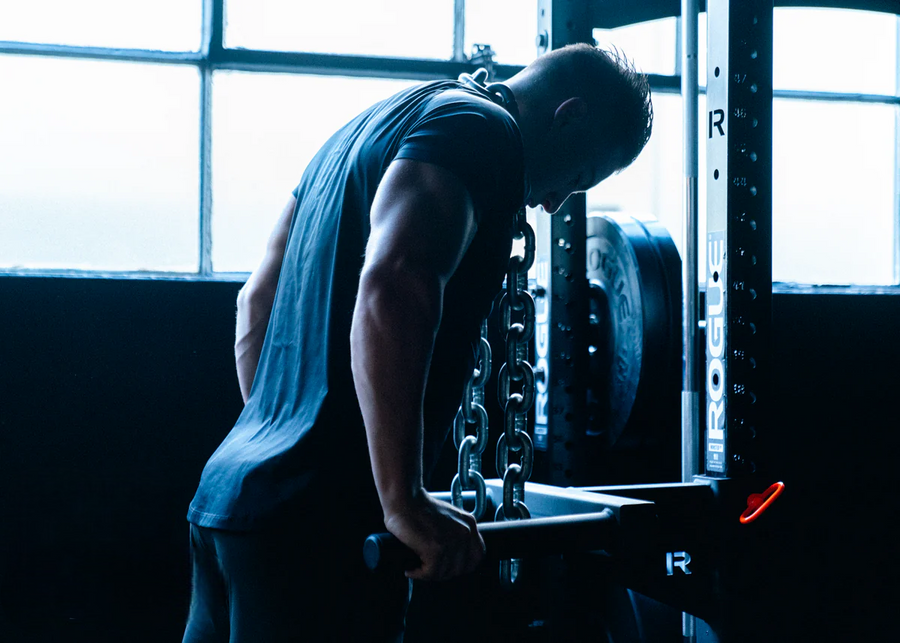 What Muscles Do Dips Work? Answered by a Professional