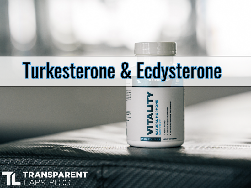 turkesterone supplements