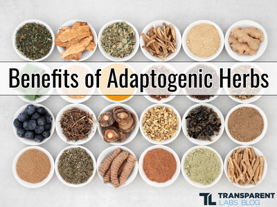 best adaptogens benefits