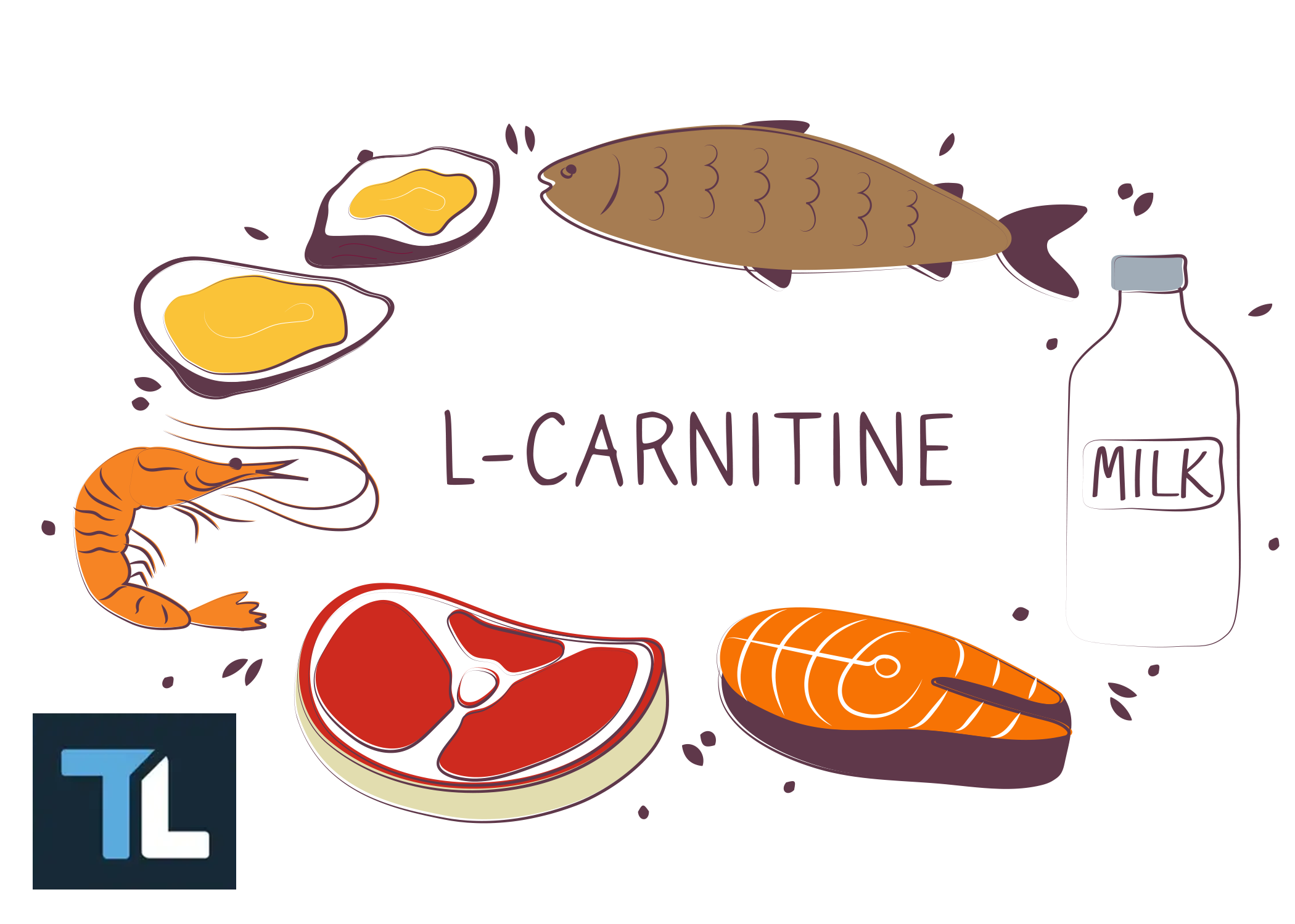 When to Take LCarnitine for Optimal Training Benefits Transparent Labs