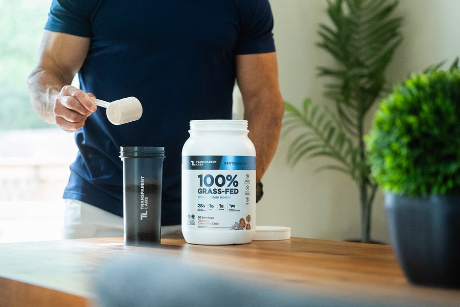 how much protein can you absorb in one meal