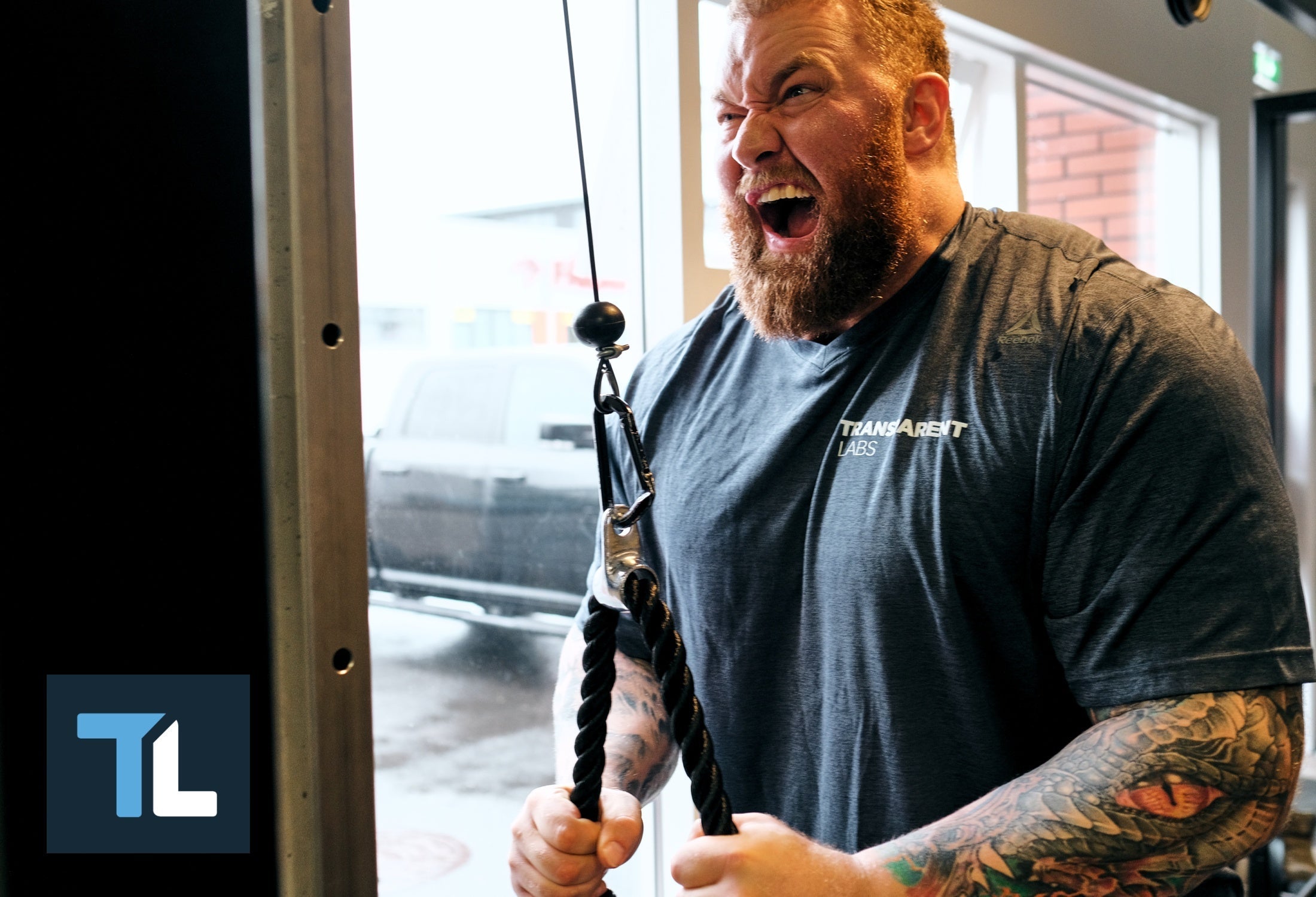 Top 6 Tricep Workouts for Building Strength and Definition ...