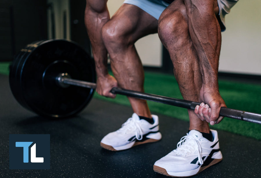 arnold split workout