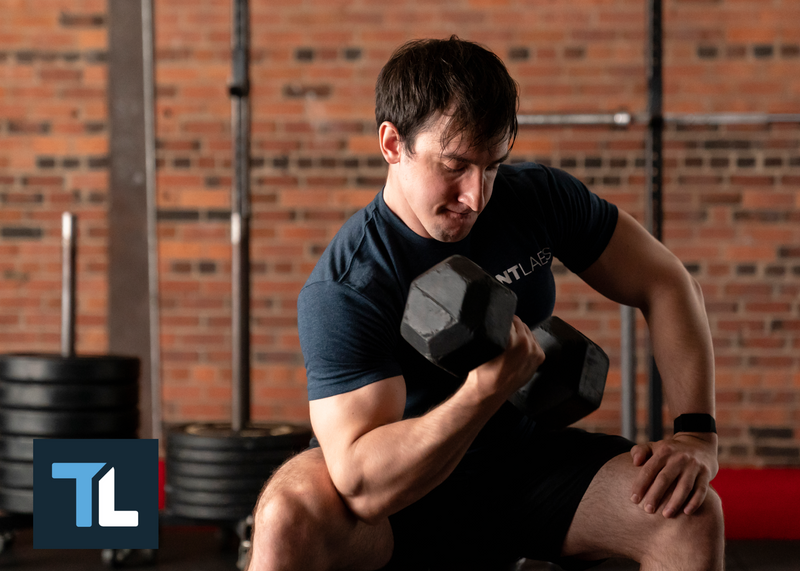 dumbbell arm workout