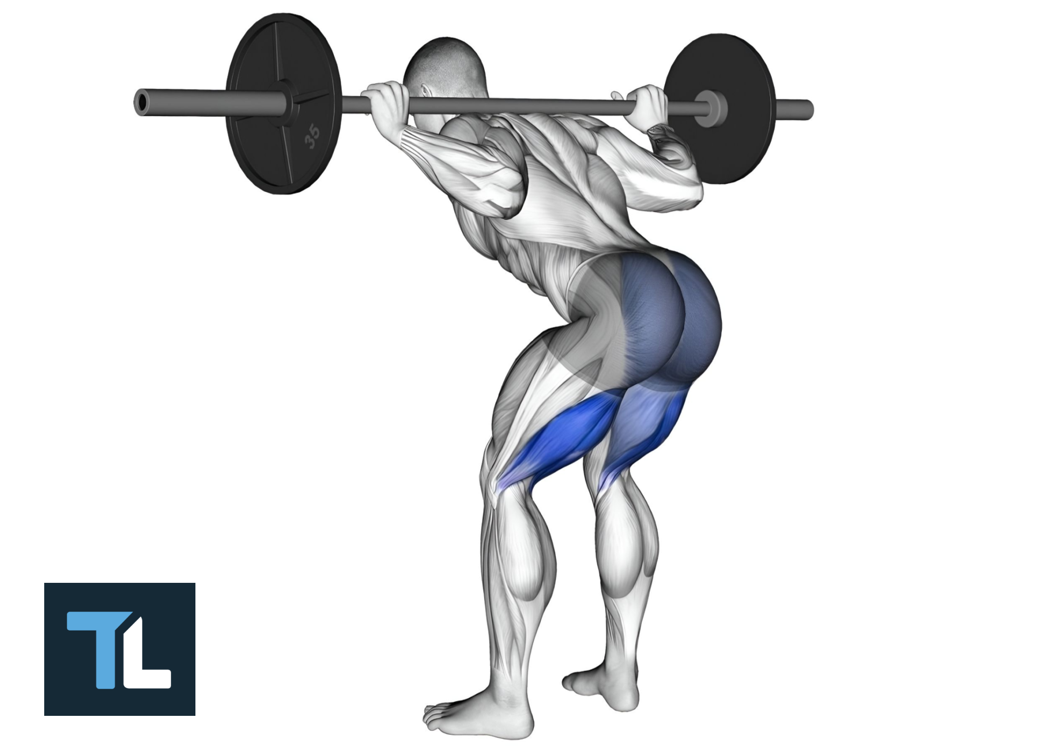 The Good-Morning Exercise: Build Your Posterior Chain Muscles ...