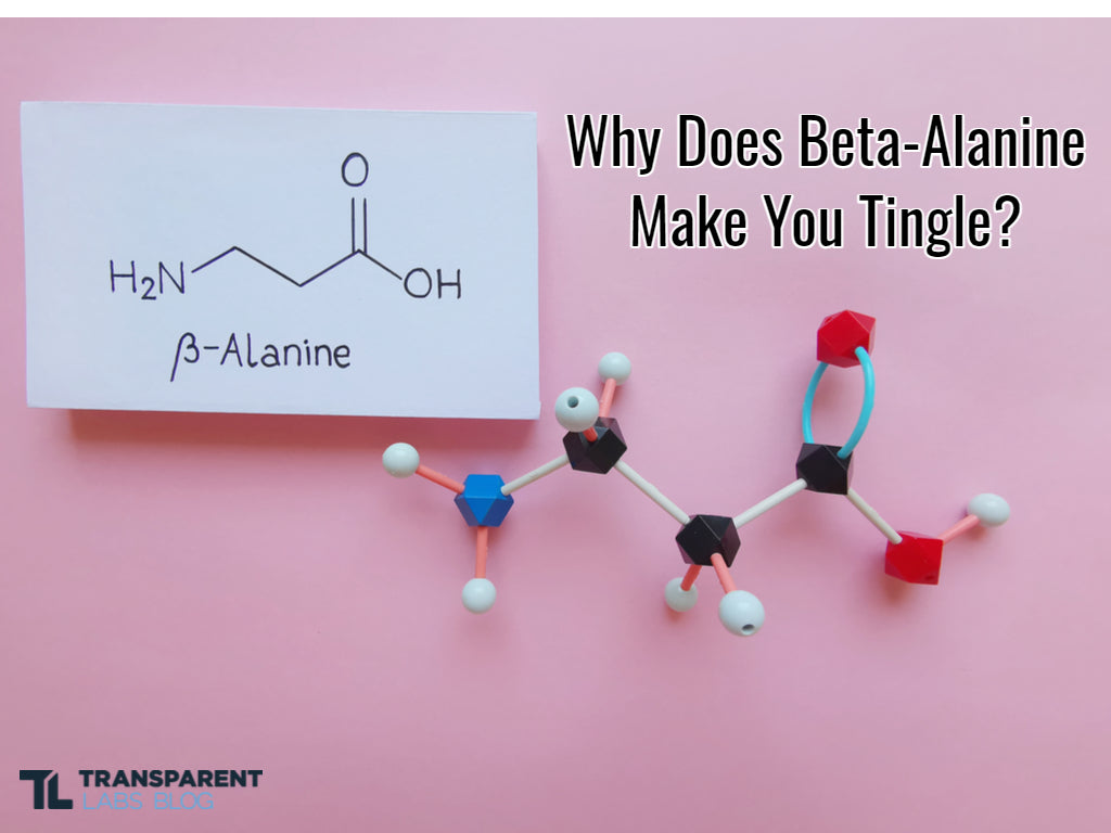 Why Does Beta Alanine Make Your Tingle