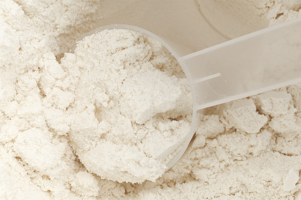 What Is Clean Protein Powder? A Guide to Choosing the Right One