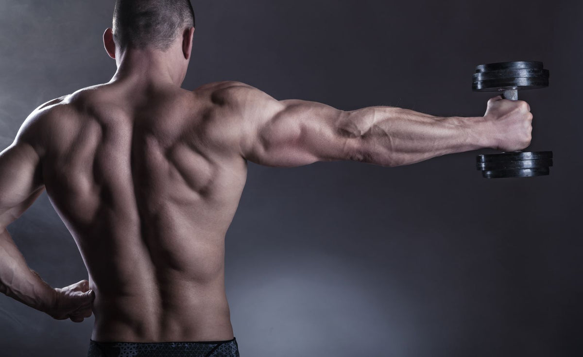 The Benefits of Doing Upper Back Exercises for a Strong Back – Transparent  Labs