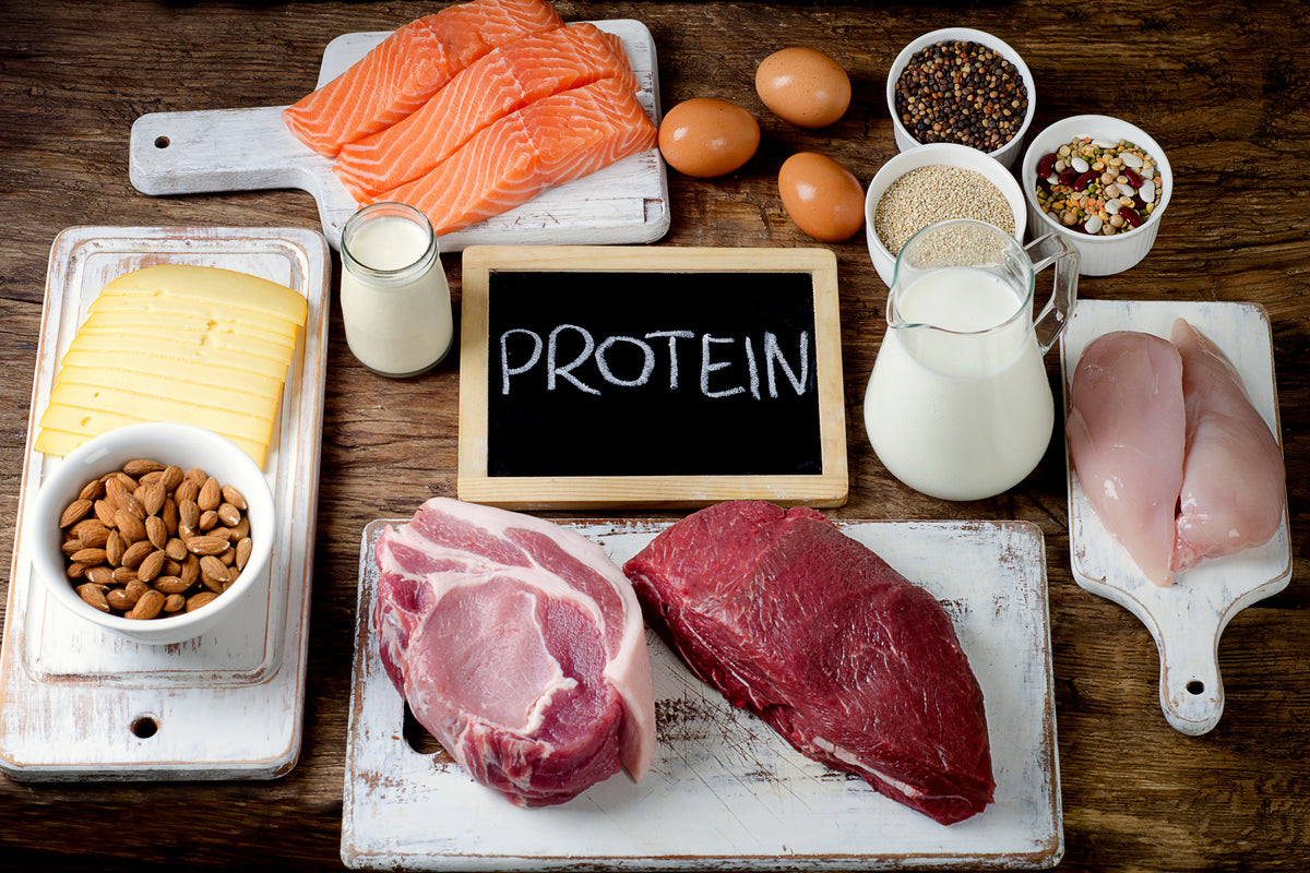 How Much Protein Should I Eat? Determine Your Optimal Protein Intake –  Transparent Labs