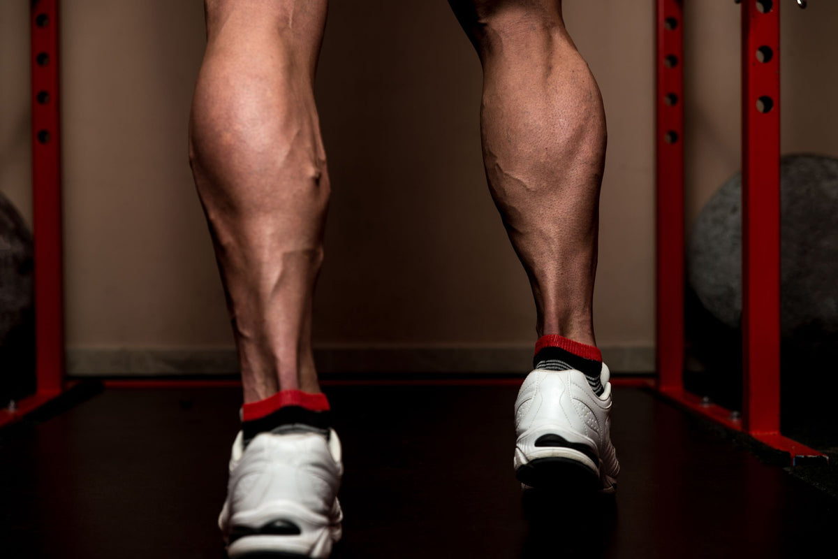 What Are the Best Calf Exercises? How to Build Bigger Calves at Home! –  Transparent Labs