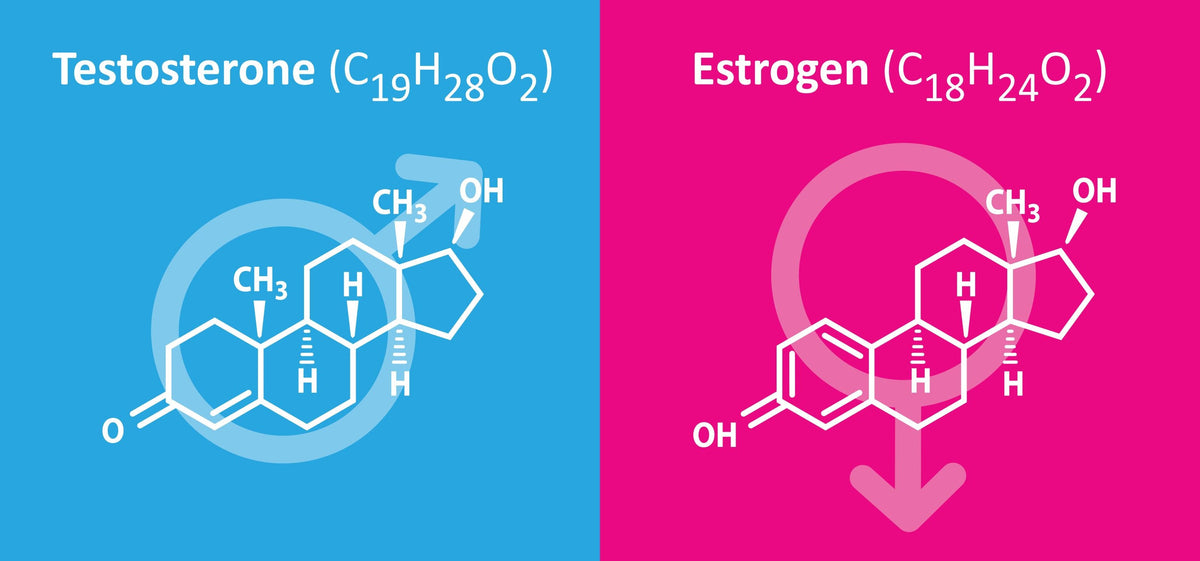 The Best Estrogen Blockers for Men: How Aromatase Inhibitors Work