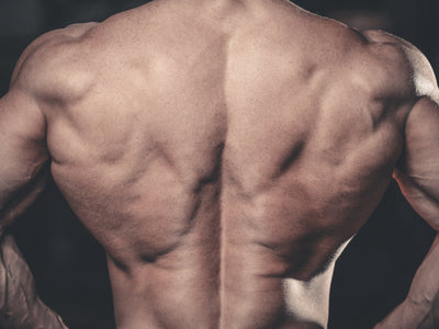 Best Back Workouts for Mass: Back Exercise Hacks to Grow Your Lats
