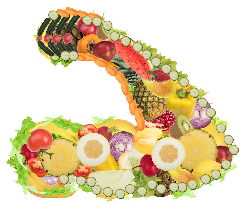 Plant-Based Diet vs. Vegan Bodybuilding Diet Plan: Which is Best?