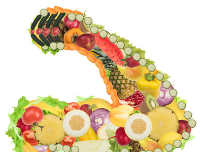 Plant-Based Diet vs. Vegan Bodybuilding Diet Plan: Which is Best?