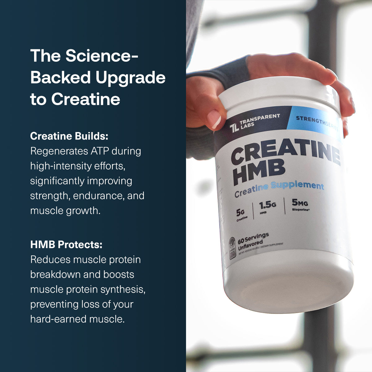 Creatine HMB Powder | 30 Servings – Transparent Labs