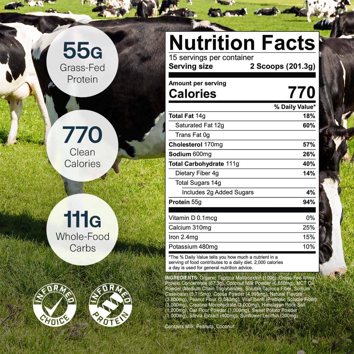 Chocolate Peanut Butter