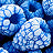Variant Blue Raspberry