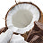 Variant Chocolate Coconut