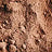Variant Cocoa