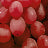 Variant Grape