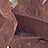 Variant Milk Chocolate