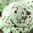 Variant Mint Chocolate Chip