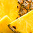 Variant Pineapple
