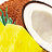 Variant Pineapple Coconut